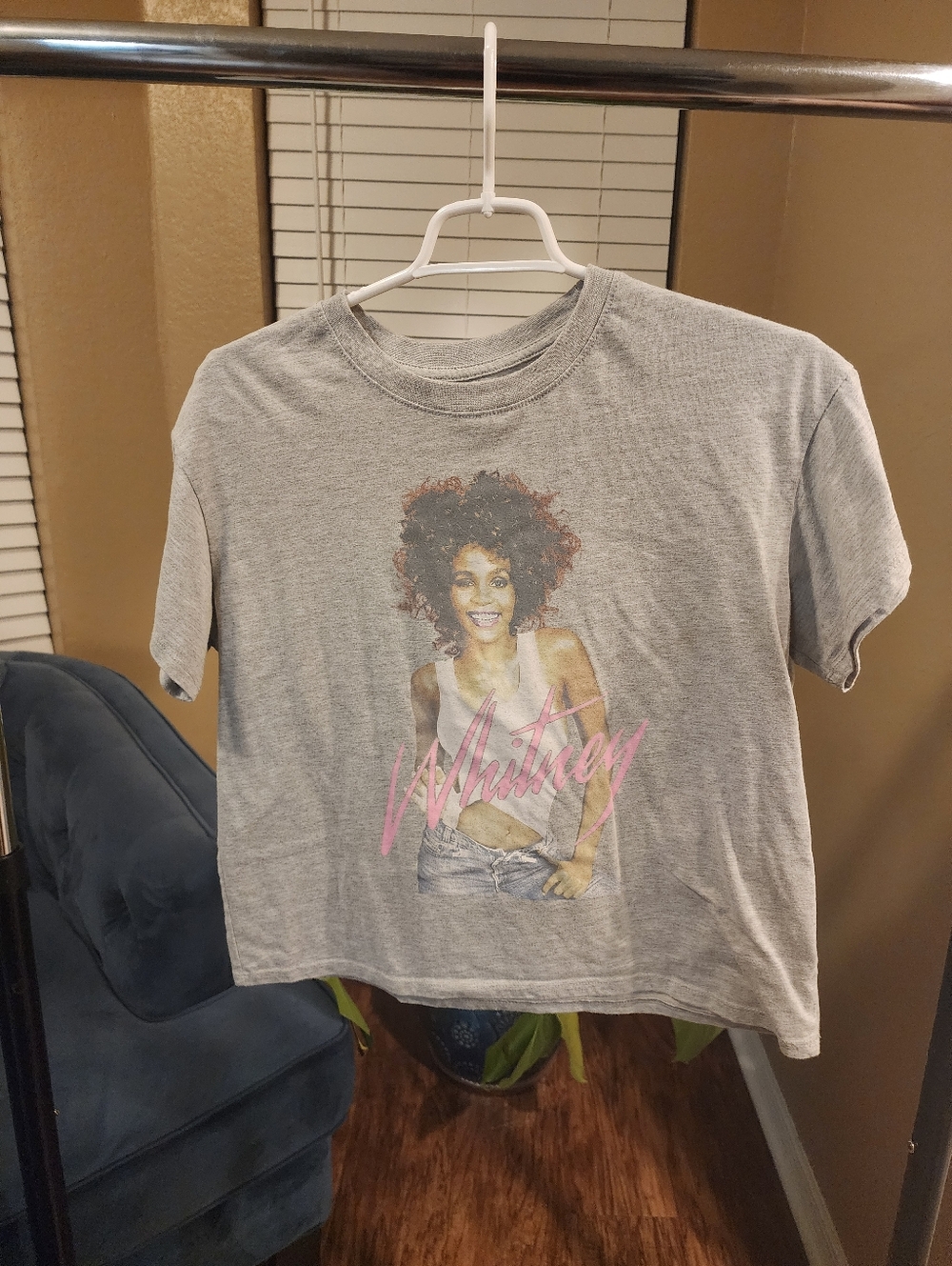 Whitney Graphic Crop Tee - Gray